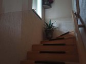 Pagiriuose, Melekonių kaimejaukus ,erdvus 164 - nuotraukos Nr. 28