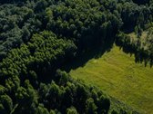 Parduodami erdvūs namų valdos sklypai - nuotraukos Nr. 5