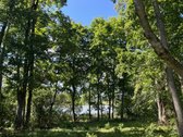 Anykščių rajone, Kurklių seniūnijoje, - nuotraukos Nr. 5