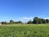 Anykščių rajone, Kurklių seniūnijoje, - nuotraukos Nr. 6