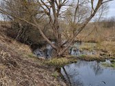 Parduodamas 3,65 ha žemės ūkio paskirties - nuotraukos Nr. 11