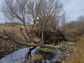 Parduodamas 3,65 ha žemės ūkio paskirties - nuotraukos Nr. 10
