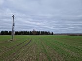 Parduodamas 3,65 ha žemės ūkio paskirties - nuotraukos Nr. 9