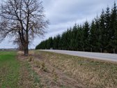 Parduodamas 3,65 ha žemės ūkio paskirties - nuotraukos Nr. 2