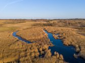 Parduodamas 3,65 ha žemės ūkio paskirties - nuotraukos Nr. 8