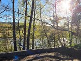Bukčių g., pušyno apsuptyje, šalia Neries – - nuotraukos Nr. 16