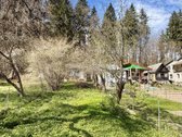 Parduodamas 3,41 aro sodo sklypas prie miško - nuotraukos Nr. 2