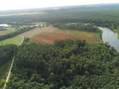Gamtos, brandaus pušyno apsuptyje, Neries - nuotraukos Nr. 3