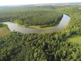 Gamtos, brandaus pušyno apsuptyje, Neries - nuotraukos Nr. 4