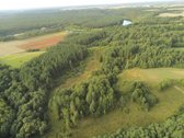 Gamtos, brandaus pušyno apsuptyje, Neries - nuotraukos Nr. 7