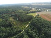 Gamtos, brandaus pušyno apsuptyje, Neries - nuotraukos Nr. 2