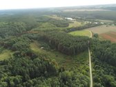 Gamtos, brandaus pušyno apsuptyje, Neries