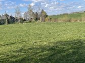 Parduodama jauki sodyba Kėdainių raj. Ramioje - nuotraukos Nr. 8