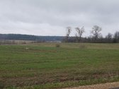 Vaizdinga vieta, du privažiavimai prie sklypo - nuotraukos Nr. 5