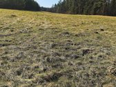 Parduodamas Investicinis Projektas Alytaus r - nuotraukos Nr. 5