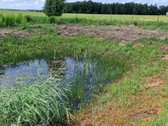 Parduodamas 19,87 aro namų valdos sklypas - nuotraukos Nr. 2
