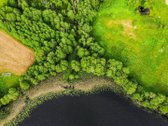 Parduodamas erdvus 3,15 ha žemės ūkio - nuotraukos Nr. 5