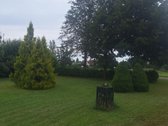 Skuodo rajone, Šliktinės kaime parduodamas - nuotraukos Nr. 5