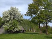 Labai tylioje ir ramioje vietoje, ant - nuotraukos Nr. 2