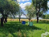 Labai tylioje ir ramioje vietoje, ant - nuotraukos Nr. 4