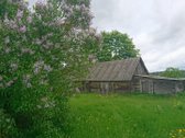 Labai tylioje ir ramioje vietoje, ant - nuotraukos Nr. 5