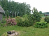 Labai tylioje ir ramioje vietoje, ant - nuotraukos Nr. 7