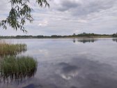 Labai tylioje ir ramioje vietoje, ant - nuotraukos Nr. 13