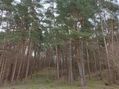 Parduodamas 0,95 ha sklypas Trakų r., - nuotraukos Nr. 3