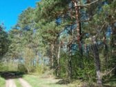 Parduodamas 0,95 ha sklypas Trakų r., - nuotraukos Nr. 9