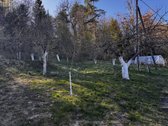 Parduodamas dviejų aukštų namas labai - nuotraukos Nr. 15