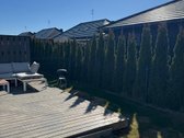 700 m iki jūros  Pilnai įrengtas 3 kambarių - nuotraukos Nr. 3