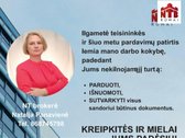 Eškote Vietos Gyvenimui Prie Neries Upės? - nuotraukos Nr. 8