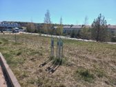 Investicinis Visuomeninės Paskirties Sklypas - nuotraukos Nr. 17