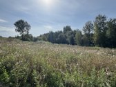 Sklypas Su Tiesiogine Prieiga Prie Ežero -1