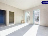 Vanagupė, Palanga – ramybei ir kokybiškam - nuotraukos Nr. 5