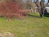 Ieškote ramios vietos savo svajonių namams ar - nuotraukos Nr. 9