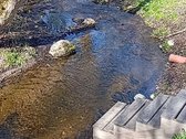 Ieškote ramios vietos savo svajonių namams ar - nuotraukos Nr. 12
