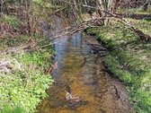 Ieškote ramios vietos savo svajonių namams ar - nuotraukos Nr. 13