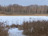Namų valdos, vienkiemio tipo sklypas šalia - nuotraukos Nr. 7