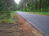 Parduodamas 1,68 ha sklypas. Teritorijoje yra - nuotraukos Nr. 2