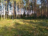 Parduodamas 1,68 ha sklypas. Teritorijoje yra - nuotraukos Nr. 8