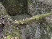 Anyksciu rajone, Simoniu girioje ypatingai - nuotraukos Nr. 2