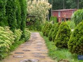 Parduodama sodyba- verslas- Širvintų raj., - nuotraukos Nr. 38