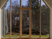 Architektūros Perlas Svencelėje Su Miško Panorama - nuotraukos Nr. 27