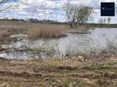Parduodamas Trijų Namų Valdos Sklypų Masyvas. - nuotraukos Nr. 11