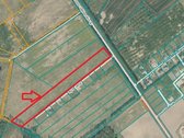 Rytų Aklg. Parduodamas 2,5 ha Sklypas! - nuotraukos Nr. 4