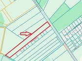 Rytų Aklg. Parduodamas 2,5 ha Sklypas! - nuotraukos Nr. 5