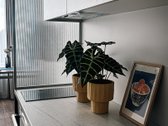Parduodamas patogaus išplanavimo butas su - nuotraukos Nr. 4