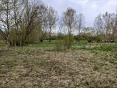 Parduodamas žemės ūkio paskirties 0,40 ha - nuotraukos Nr. 2