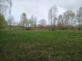 Parduodamas žemės ūkio paskirties 0,40 ha - nuotraukos Nr. 5